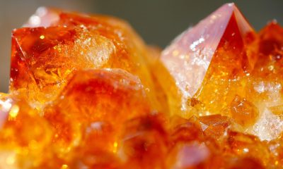 商界人士在高档会议室内用平板电脑查阅商业内幕爆料信息，西装革履专业形象，城市夜景背景